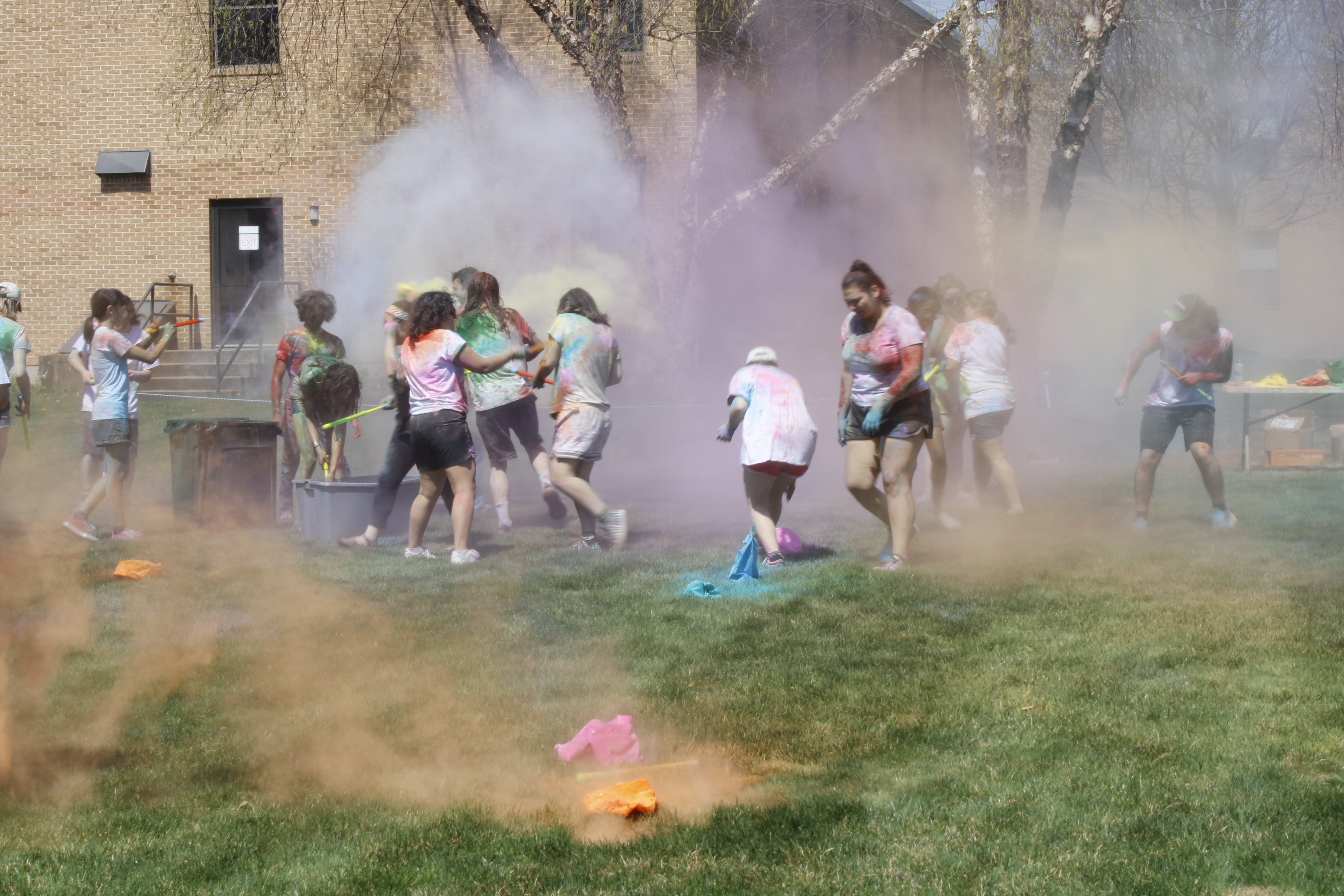 Photo of Holi Celebration