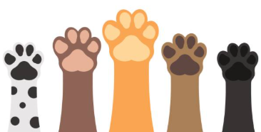 puppypaws