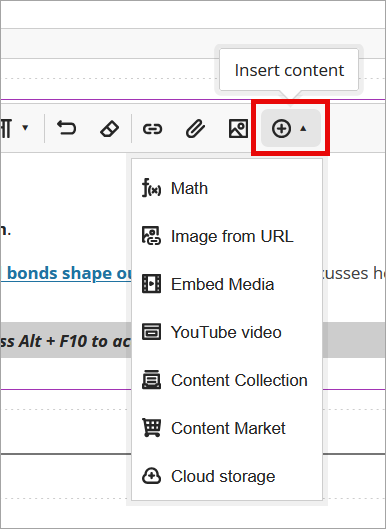 The Insert Content menu is highlighted and expanded to show the options for adding additional content