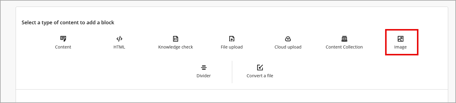 Image option highlighted.