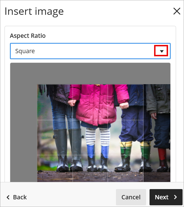 The drop-down menu is highlighted with an overlay of the grid on the photo 