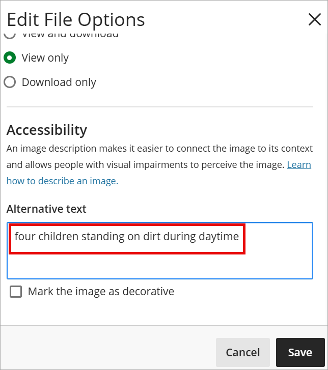 The Alternative text box is highlighted