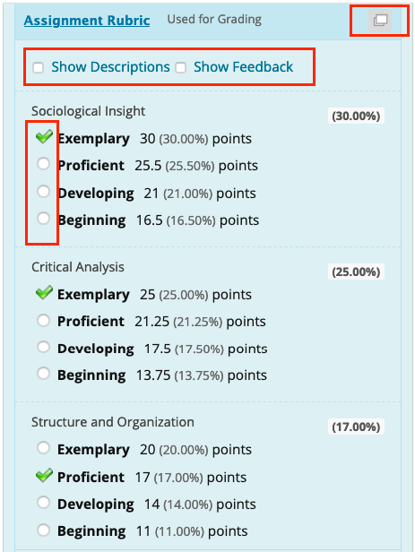 Rubric with criteria to be selected and where to show descriptions of rubric criteria and feedback options.