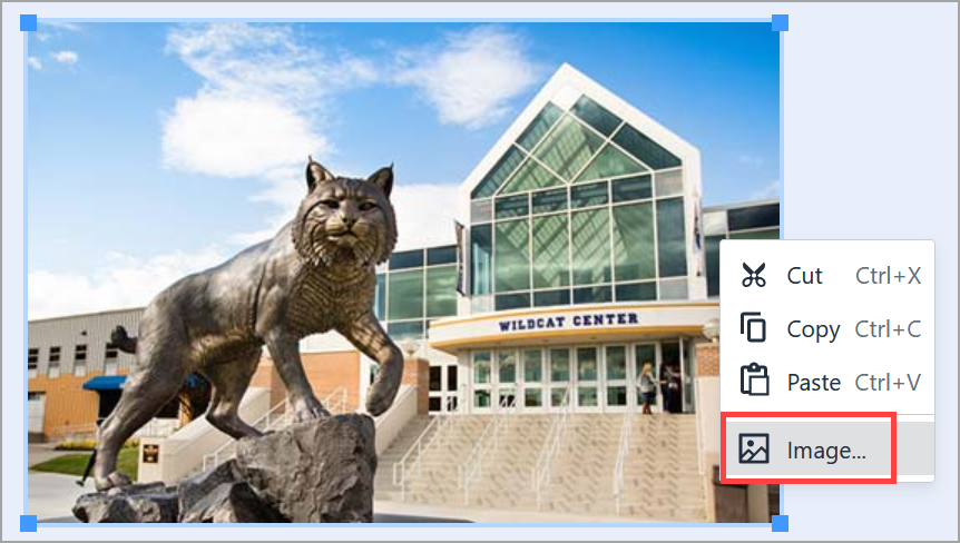 The Image option appears when right-clicking an image.